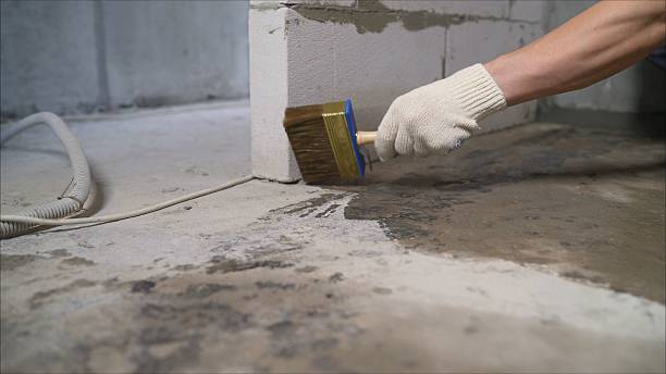Top rated local Crawl Space Encapsulation specialists in Andover, KS